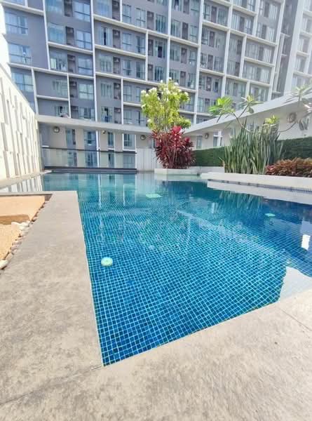 The President Sukhumvit 81 : เดอะ เพรสซิเดนท์ สุขุมวิท 81, กรุงเทพ, ซอยสุขุมวิท 81 ถนนสุขุมวิท, พระโขนงเหนือ, วัฒนา, กรุงเทพ, 35 ตร.ม., คอนโด ให้เช่า, โดย Praewpakar Soontawong, 500194692 - DDproperty.com