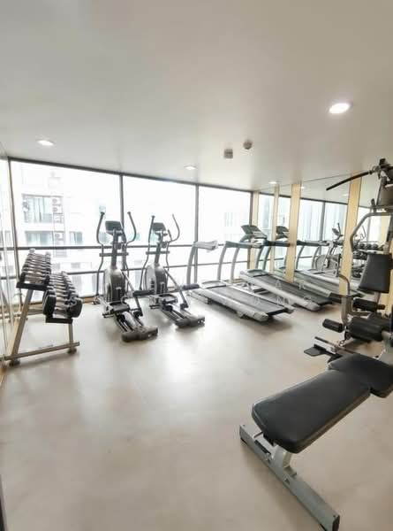 The President Sukhumvit 81, Bangkok, Soi Sukhumvit 81, Sukhumvit Road, Phra Kanong Nua, Watthana, Bangkok, 1 Bedroom, 35 sqm, Condo For Rent, by Praewpakar Soontawong, 500194692 - DDproperty.com