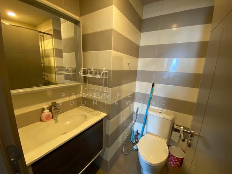 CEIL by Sansiri : ซีล บาย แสนสิริ, กรุงเทพ, 11 ซอยเอกมัย 12 ถนนสุขุมวิท 63, คลองตันเหนือ, วัฒนา, กรุงเทพ, 35 ตร.ม., คอนโด ให้เช่า, โดย Praewpakar Soontawong, 500194701 - DDproperty.com