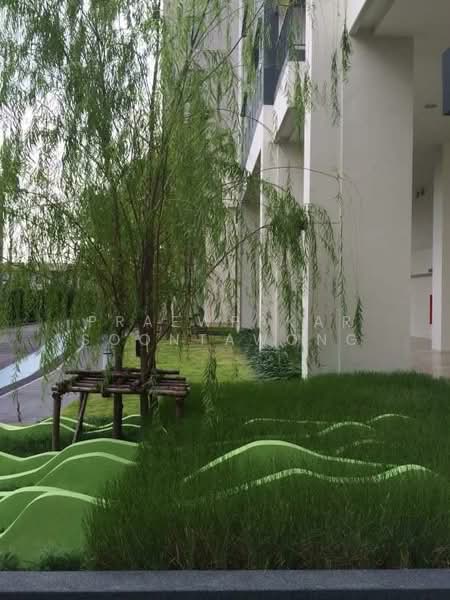 Aspire Sukhumvit 48, Bangkok, Sukhumvit Road, Phra Kanong, Khlong Toei, Bangkok, 1 Bedroom, 32 sqm, Condo For Rent, by Praewpakar Soontawong, 500194712 - DDproperty.com