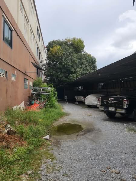 BelVida Estates Hua Hin, สมุทรปราการ, สุขสวัสดิ์ 70 แยก 14, บางครุ, พระประแดง, สมุทรปราการ, 170 ตร.ม., ตึกแถว-อาคารพาณิชย์ ขาย, โดย กฤต พรหมหิตาทร, 500194802 - DDproperty.com