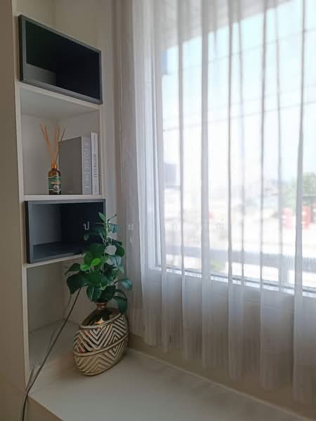 The Link Sukhumvit 64, Bangkok, Soi Sukhumvit 64 Sukhumvit Road, Bang Chak, Phra Khanong, Bangkok, 1 Bedroom, 30 sqm, Condo For Rent, by ปรียาภรณ์ ภู่เจริญ, 500194813 - DDproperty.com