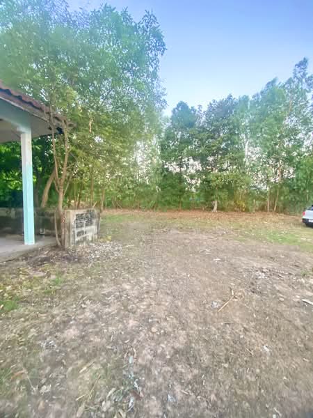 ขายที่ดิน อำเภอเมืองอุบลราชธานี จังหวัดอุบลราชธานี, อุบลราชธานี, ขามใหญ่, เมืองอุบลราชธานี, อุบลราชธานี, 308 ตร.ม., ที่ดิน ขาย, โดย ยุภาพร ศุภผลา, 500194821 - DDproperty.com