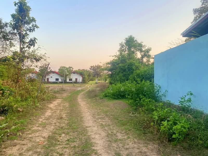 ขายที่ดิน อำเภอเมืองอุบลราชธานี จังหวัดอุบลราชธานี, อุบลราชธานี, ขามใหญ่, เมืองอุบลราชธานี, อุบลราชธานี, 308 ตร.ม., ที่ดิน ขาย, โดย ยุภาพร ศุภผลา, 500194821 - DDproperty.com