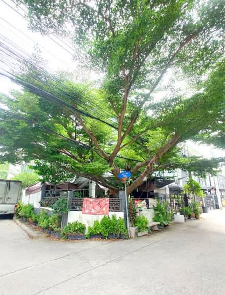 I-place ซอยนาคนิวาส 48 แยก 18 ถนนนาคนิวาส แขวงลาดพร้าว เขตลาดพร้าว กรุงเทพ, กรุงเทพ, ลาดพร้าว, ลาดพร้าว, กรุงเทพ, 216 ตร.ม., ทาวน์เฮ้าส์ ขาย, โดย สุรีย์ ชุนรัตนชัย, 500194970 - DDproperty.com