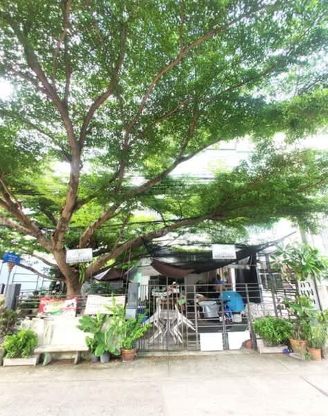 I-place ซอยนาคนิวาส 48 แยก 18 ถนนนาคนิวาส แขวงลาดพร้าว เขตลาดพร้าว กรุงเทพ, กรุงเทพ, ลาดพร้าว, ลาดพร้าว, กรุงเทพ, 216 ตร.ม., ทาวน์เฮ้าส์ ขาย, โดย สุรีย์ ชุนรัตนชัย, 500194970 - DDproperty.com