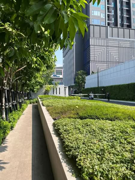 Life Phahon-Ladprao, Bangkok, 996 Phahonyothin Road, Jom Phon, Chatuchak, Bangkok, 1 Bedroom, 35 sqm, Condo For Rent, by Forty-Six Real Estate Group, 500195072 - DDproperty.com