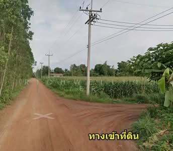 ขาย - ขายที่ดินวังตะเคียน 17 ไร่ ไร่ละ200,000฿ ติดฟาร์มไก่ ใกล้ถ.เส้น2006-5.2กม. อ.กบินทร์บุรี, ปราจีนบุรี
