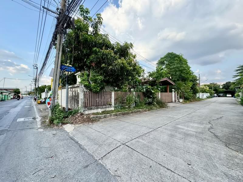 ขาย ที่ดิน 141.5 ตารางวา เสาธงหิน ซอย 17 บางใหญ่, Nonthaburi, Sao Thong Hin, Bang Yai, Nonthaburi, , 564 sqm, Land For Sale, by กรณวัสส์ กัณฑวัสส์วงส์, 500195128 - DDproperty.com
