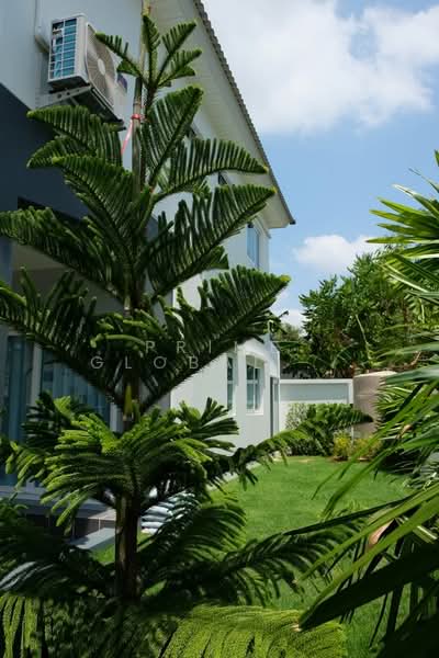 Supalai Bella Wichit Phuket, ภูเก็ต, วิชิต, เมืองภูเก็ต, ภูเก็ต, 160 ตร.ม., บ้านแฝด ให้เช่า, โดย Prime Global Asset, 500195141 - DDproperty.com