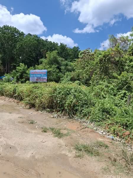 ขาย - ที่ดินภูเก็ต, ภูเก็ต