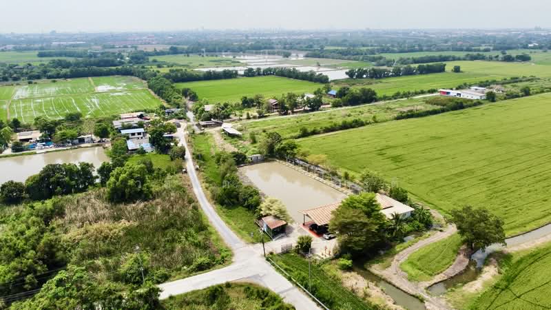 ขายกิจการบ่อตกปลา ปทุมธานี ใกล้โรงเรียนหอวังปทุม, Pathum Thani, เลียบคลองเปรมประชา, Suan Pring Thai, Muang Pathum Thani, Pathum Thani, , 2,652 sqm, Business For Sale, by Wasan Wasati, 500195424 - DDproperty.com