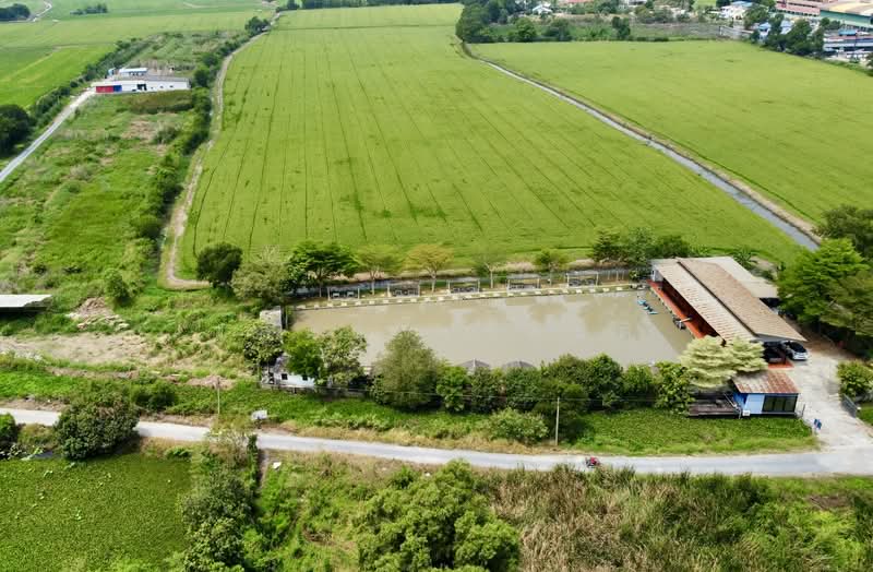 ขายกิจการบ่อตกปลา ปทุมธานี ใกล้โรงเรียนหอวังปทุม, Pathum Thani, เลียบคลองเปรมประชา, Suan Pring Thai, Muang Pathum Thani, Pathum Thani, , 2,652 sqm, Business For Sale, by Wasan Wasati, 500195424 - DDproperty.com