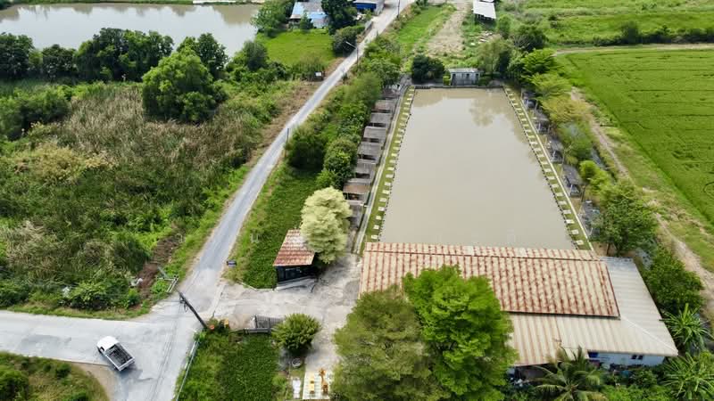 ขายกิจการบ่อตกปลา ปทุมธานี ใกล้โรงเรียนหอวังปทุม, Pathum Thani, เลียบคลองเปรมประชา, Suan Pring Thai, Muang Pathum Thani, Pathum Thani, , 2,652 sqm, Business For Sale, by Wasan Wasati, 500195424 - DDproperty.com