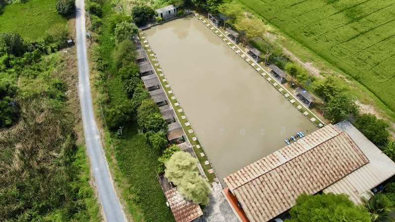 ขายกิจการบ่อตกปลา ปทุมธานี ใกล้โรงเรียนหอวังปทุม, ปทุมธานี, เลียบคลองเปรมประชา, สวนพริกไทย, เมืองปทุมธานี, ปทุมธานี, 2,652 ตร.ม., กิจการ ขาย, โดย วสันต์ วะสะติ, 500195424 - DDproperty.com