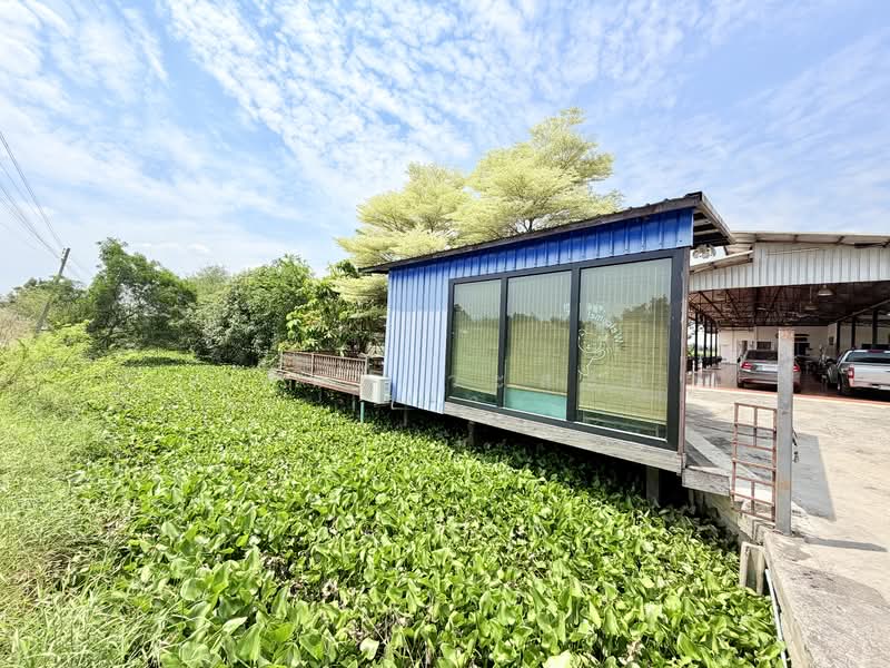 ขายกิจการบ่อตกปลา ปทุมธานี ใกล้โรงเรียนหอวังปทุม, ปทุมธานี, เลียบคลองเปรมประชา, สวนพริกไทย, เมืองปทุมธานี, ปทุมธานี, 2,652 ตร.ม., กิจการ ขาย, โดย วสันต์ วะสะติ, 500195424 - DDproperty.com