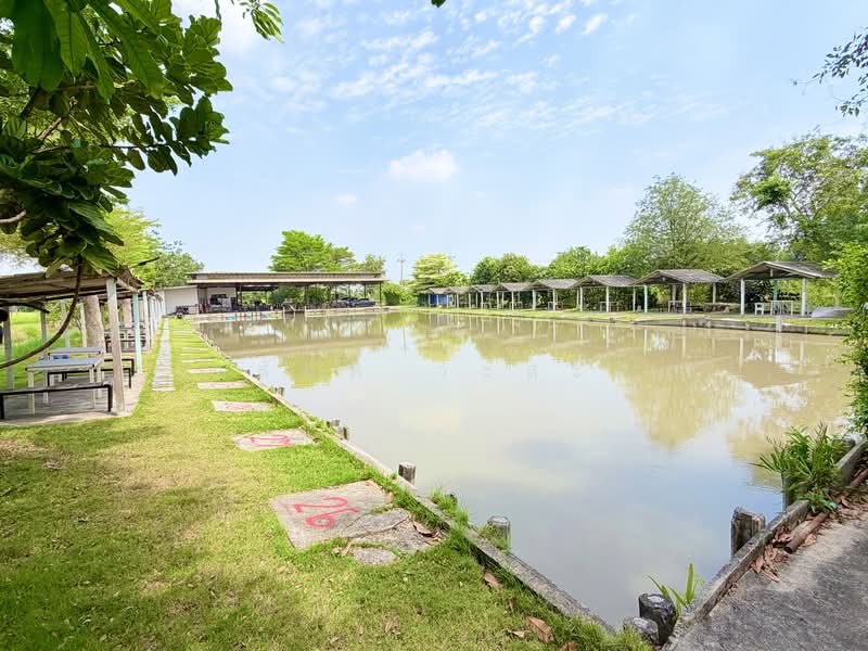 ขายกิจการบ่อตกปลา ปทุมธานี ใกล้โรงเรียนหอวังปทุม, ปทุมธานี, เลียบคลองเปรมประชา, สวนพริกไทย, เมืองปทุมธานี, ปทุมธานี, 2,652 ตร.ม., กิจการ ขาย, โดย วสันต์ วะสะติ, 500195424 - DDproperty.com