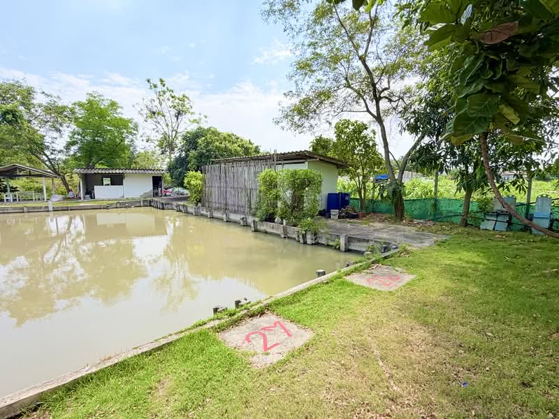 ขายกิจการบ่อตกปลา ปทุมธานี ใกล้โรงเรียนหอวังปทุม, ปทุมธานี, เลียบคลองเปรมประชา, สวนพริกไทย, เมืองปทุมธานี, ปทุมธานี, 2,652 ตร.ม., กิจการ ขาย, โดย วสันต์ วะสะติ, 500195424 - DDproperty.com