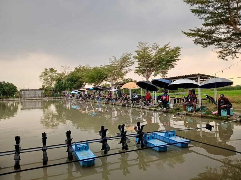 ขายกิจการบ่อตกปลา ปทุมธานี ใกล้โรงเรียนหอวังปทุม, Pathum Thani, เลียบคลองเปรมประชา, Suan Pring Thai, Muang Pathum Thani, Pathum Thani, , 2,652 sqm, Business For Sale, by Wasan Wasati, 500195424 - DDproperty.com