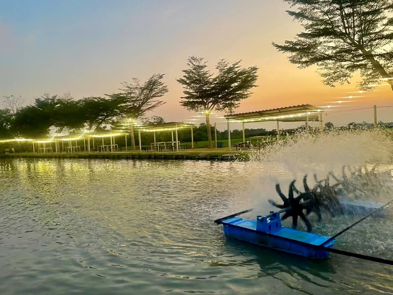 ขายกิจการบ่อตกปลา ปทุมธานี ใกล้โรงเรียนหอวังปทุม, Pathum Thani, เลียบคลองเปรมประชา, Suan Pring Thai, Muang Pathum Thani, Pathum Thani, , 2,652 sqm, Business For Sale, by Wasan Wasati, 500195424 - DDproperty.com