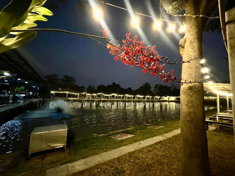 ขายกิจการบ่อตกปลา ปทุมธานี ใกล้โรงเรียนหอวังปทุม, Pathum Thani, เลียบคลองเปรมประชา, Suan Pring Thai, Muang Pathum Thani, Pathum Thani, , 2,652 sqm, Business For Sale, by Wasan Wasati, 500195424 - DDproperty.com