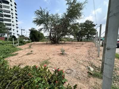 ขาย - ขายที่ดินหนองปรือ พัทยาฝั่งทะเลทำเลดีถมแล้ว 369 ตรว. ซอยชัยพฤกษ์4 ใกล้หาดจอมเทียนเพียง900เมตร, ชลบุรี