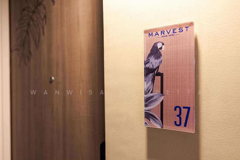 Marvest Hua Hin, Prachuap Khiri Khan, 172 Phetkasem Road, Hua Hin, Hua Hin, Prachuap Khiri Khan, 1 Bedroom, 30 sqm, Condo For Sale, by Wanwisa Scopetta, 500195547 - DDproperty.com