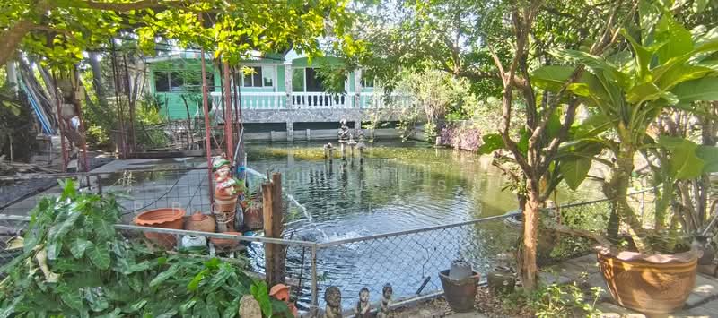 ที่ดินพร้อมสิ่งปลูกสร้างบางเลน นครปฐม, Nakhon Pathom, Bang Len, Bang Len, Nakhon Pathom, , 820 sqm, Land For Sale, by The Best Property ขวัญ, 500195558 - DDproperty.com