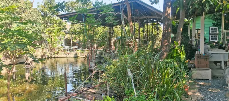 ที่ดินพร้อมสิ่งปลูกสร้างบางเลน นครปฐม, นครปฐม, บางเลน, บางเลน, นครปฐม, 820 ตร.ม., ที่ดิน ขาย, โดย The Best Property ขวัญ, 500195558 - DDproperty.com