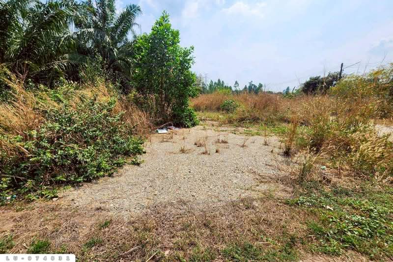 ขาย - LU-974831 ที่ดินบ้านโค้งประดู่เทศบาล 5 เกาะจันทร์ 80 ตร.ว. ชลบุรี ใกล้ที่ว่าการอำเภอเกาะจันทร์, ชลบุรี