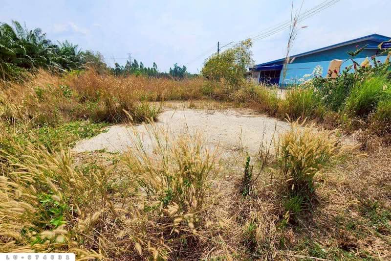 ขาย - LU-974831 ที่ดินบ้านโค้งประดู่เทศบาล 5 เกาะจันทร์ 80 ตร.ว. ชลบุรี ใกล้ที่ว่าการอำเภอเกาะจันทร์, ชลบุรี