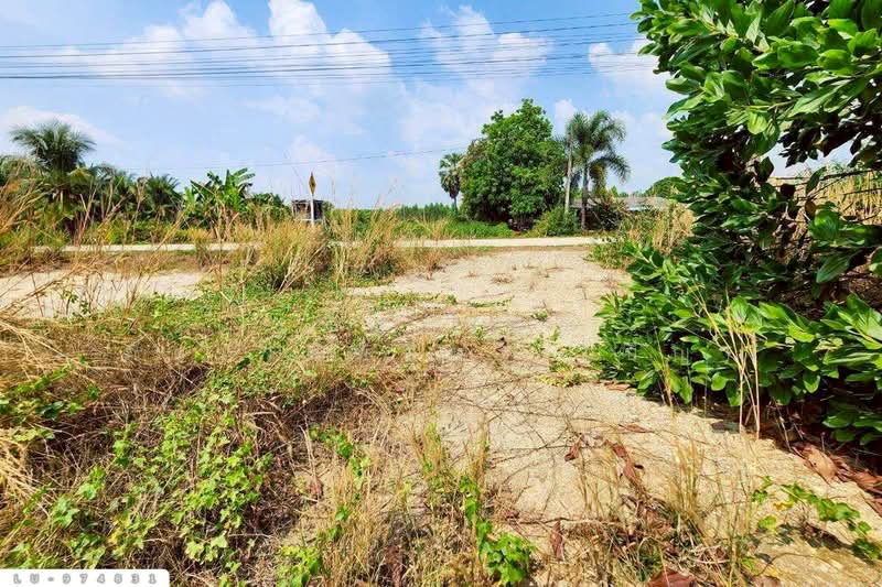 For Sale - LU-974831 Land, Ban Khong Pradu Thetsaban 5, Ko Chan District, 80 sq w, Chonburi, Chon Buri (Pattaya)