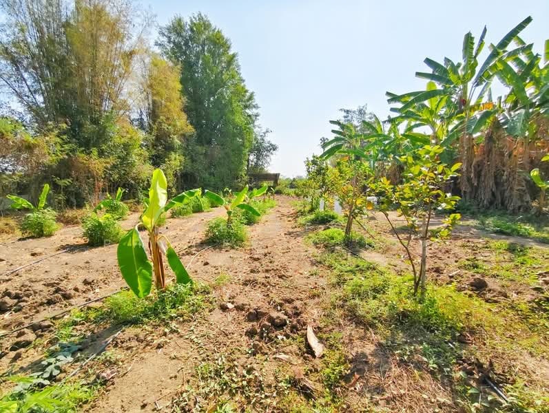 บ้านเดี่ยวพร้อมที่ดินบ้านโป่ง ราชบุรี, Ratchaburi, Tha Pha, Ban Pong, Ratchaburi, 5 Bedrooms, 100 sqm, Single Detached House For Sale, by The Best Property โอ็ต, 500195567 - DDproperty.com