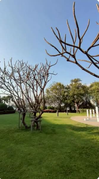 River Heaven Chareonkrung : ริเวอร์ เฮเว่น เจริญกรุง คอนโดมิเนียม, กรุงเทพ, 2667 ถนนเจริญกรุง, บางคอแหลม, บางคอแหลม, กรุงเทพ, 59 ตร.ม., คอนโด ให้เช่า, โดย Pavana Sirikogar, 500195601 - DDproperty.com