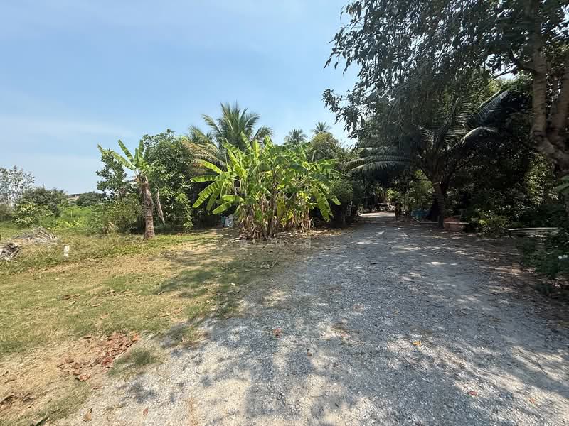 เหมาะทำโกดัง / ศูนย์กระจายสินค้า ! ให้เช่าที่ดินเปล่าระยะยาว 3-1-74.5 ไร่ ซอยเพชรเกษม 41, กรุงเทพ, เพชรเกษม 41, บางแค, บางแค, กรุงเทพ, 5,496 ตร.ม., ที่ดิน ให้เช่า, โดย คุณลี, 500195690 - DDproperty.com