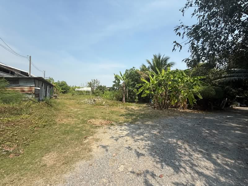 เหมาะทำโกดัง / ศูนย์กระจายสินค้า ! ให้เช่าที่ดินเปล่าระยะยาว 3-1-74.5 ไร่ ซอยเพชรเกษม 41, กรุงเทพ, เพชรเกษม 41, บางแค, บางแค, กรุงเทพ, 5,496 ตร.ม., ที่ดิน ให้เช่า, โดย คุณลี, 500195690 - DDproperty.com