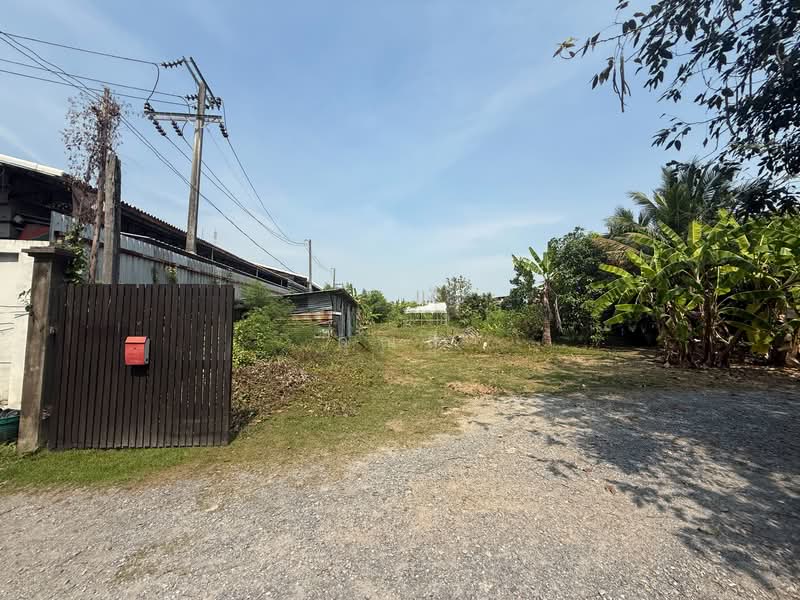 เหมาะทำโกดัง / ศูนย์กระจายสินค้า ! ให้เช่าที่ดินเปล่าระยะยาว 3-1-74.5 ไร่ ซอยเพชรเกษม 41, Bangkok, เพชรเกษม 41, Bang Khae, Bang Khae, Bangkok, , 5,496 sqm, Land For Rent, by คุณลี, 500195690 - DDproperty.com