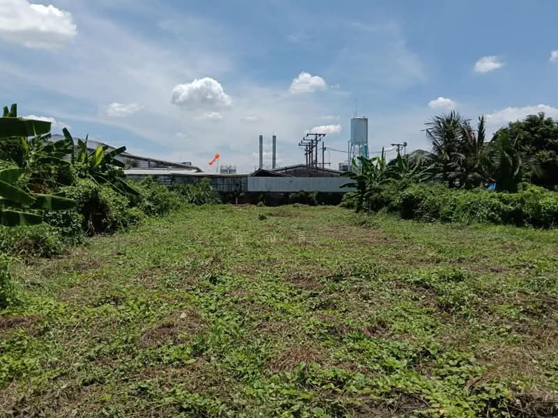 เหมาะทำโกดัง / ศูนย์กระจายสินค้า ! ให้เช่าที่ดินเปล่าระยะยาว 3-1-74.5 ไร่ ซอยเพชรเกษม 41, กรุงเทพ, เพชรเกษม 41, บางแค, บางแค, กรุงเทพ, 5,496 ตร.ม., ที่ดิน ให้เช่า, โดย คุณลี, 500195690 - DDproperty.com