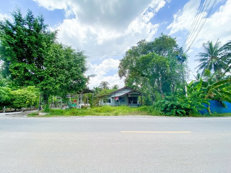 ที่ดินอัมพวา สมุทรสงคราม, Samut Songkhram, Amphawa, Amphawa, Samut Songkhram, , 1,528 sqm, Land For Sale, by The Best Property แอน, 500195708 - DDproperty.com