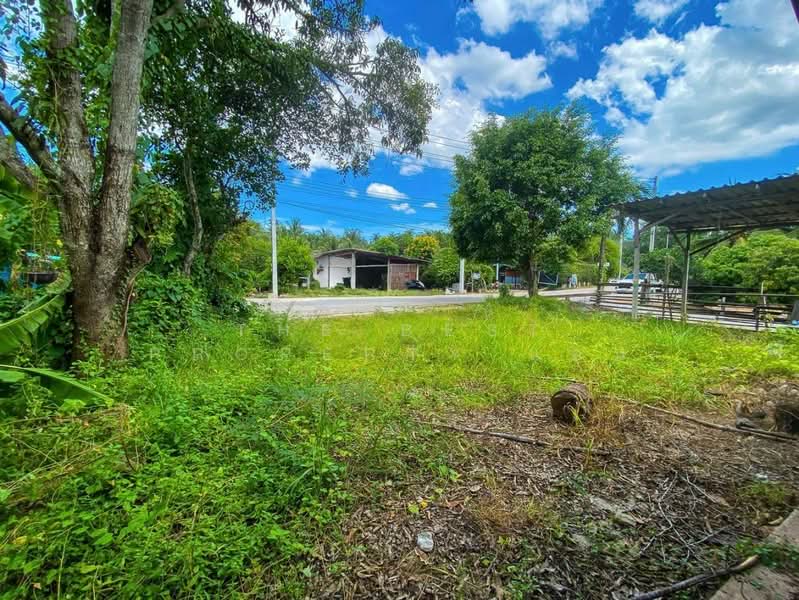 ที่ดินอัมพวา สมุทรสงคราม, Samut Songkhram, Amphawa, Amphawa, Samut Songkhram, , 1,528 sqm, Land For Sale, by The Best Property แอน, 500195708 - DDproperty.com