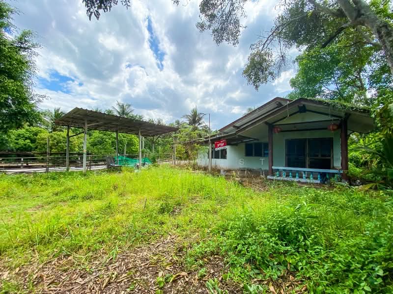 ที่ดินอัมพวา สมุทรสงคราม, Samut Songkhram, Amphawa, Amphawa, Samut Songkhram, , 1,528 sqm, Land For Sale, by The Best Property แอน, 500195708 - DDproperty.com