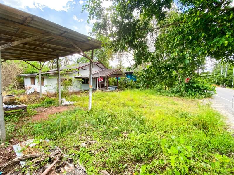 ที่ดินอัมพวา สมุทรสงคราม, Samut Songkhram, Amphawa, Amphawa, Samut Songkhram, , 1,528 sqm, Land For Sale, by The Best Property แอน, 500195708 - DDproperty.com