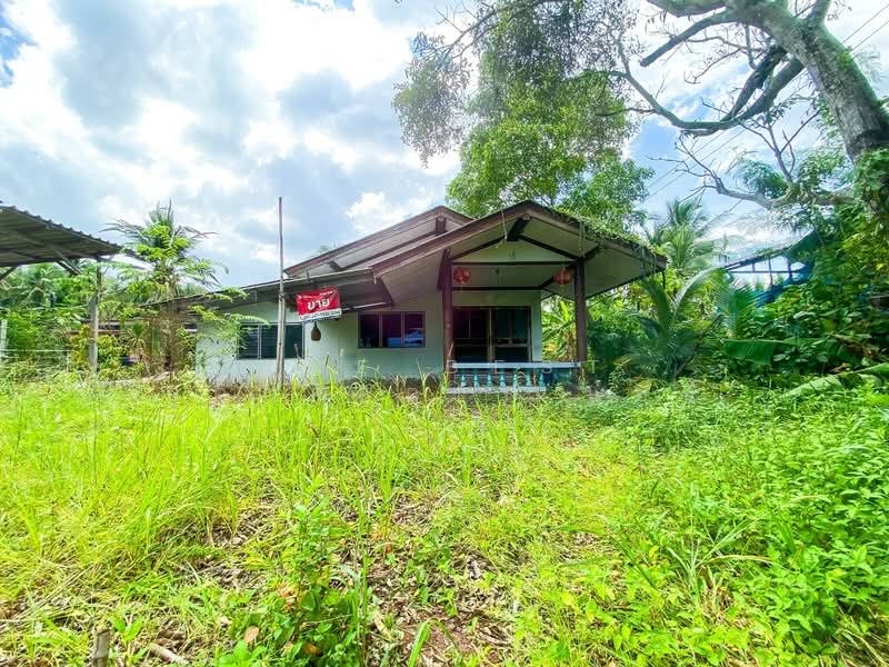 ที่ดินอัมพวา สมุทรสงคราม, Samut Songkhram, Amphawa, Amphawa, Samut Songkhram, , 1,528 sqm, Land For Sale, by The Best Property แอน, 500195708 - DDproperty.com