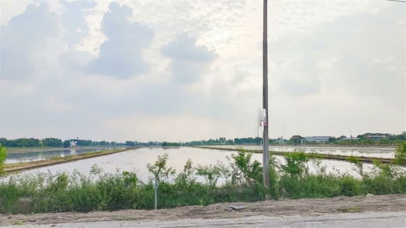 ที่ดินเปล่า 16 ไร่ 274 ตร.ว. ที่ดิน ใกล้ซอยคลองสี่ตะวันออก19 ถนนกาญจนาภิเษก, ปทุมธานี, คลองสี่, คลองหลวง, ปทุมธานี, 26,696 ตร.ม., ที่ดิน ขาย, โดย คุณ ชนะพันธุ์ แก้วศรีพจน์ (ต่อ), 500195742 - DDproperty.com