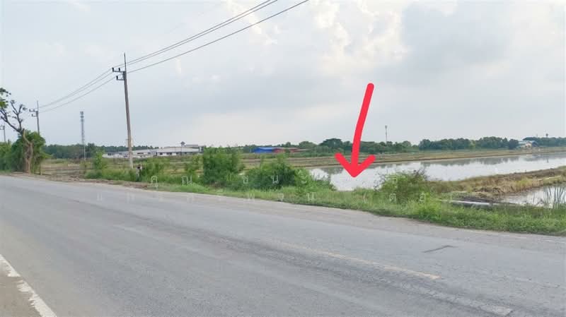 ที่ดินเปล่า 16 ไร่ 274 ตร.ว. ที่ดิน ใกล้ซอยคลองสี่ตะวันออก19 ถนนกาญจนาภิเษก, ปทุมธานี, คลองสี่, คลองหลวง, ปทุมธานี, 26,696 ตร.ม., ที่ดิน ขาย, โดย คุณ ชนะพันธุ์ แก้วศรีพจน์ (ต่อ), 500195742 - DDproperty.com