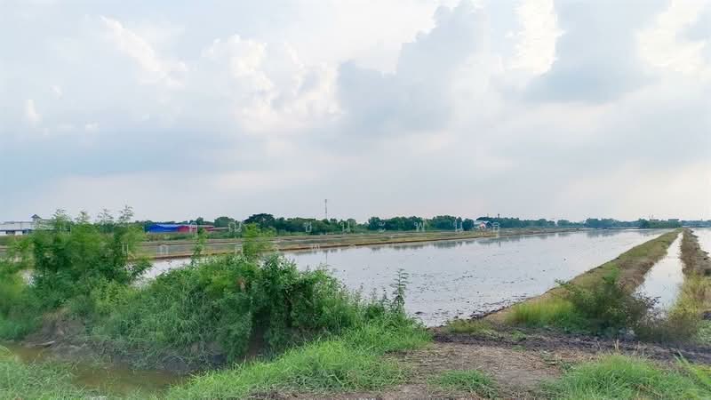 ที่ดินเปล่า 16 ไร่ 274 ตร.ว. ที่ดิน ใกล้ซอยคลองสี่ตะวันออก19 ถนนกาญจนาภิเษก, ปทุมธานี, คลองสี่, คลองหลวง, ปทุมธานี, 26,696 ตร.ม., ที่ดิน ขาย, โดย คุณ ชนะพันธุ์ แก้วศรีพจน์ (ต่อ), 500195742 - DDproperty.com