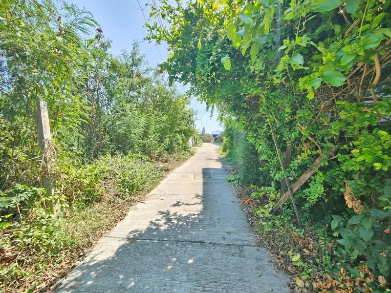 ที่ดินพร้อมสิ่งปลูกสร้างพระประโทน นครปฐม, Nakhon Pathom, Phra Prathon, Muang Nakhon Pathom, Nakhon Pathom, , 852 sqm, Land For Sale, by The Best Property มล, 500195774 - DDproperty.com