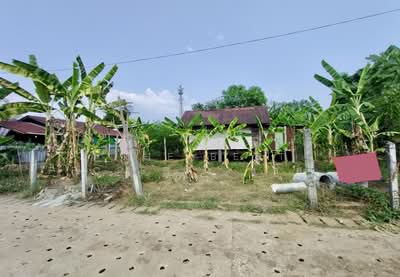 ขาย - ที่ดินท่าอิฐ อุตรดิตถ์, อุตรดิตถ์