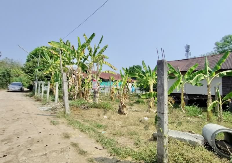 ที่ดินท่าอิฐ อุตรดิตถ์, อุตรดิตถ์, ท่าอิฐ, เมืองอุตรดิตถ์, อุตรดิตถ์, 784 ตร.ม., ที่ดิน ขาย, โดย The Best Property น้อยหน่า, 500195793 - DDproperty.com