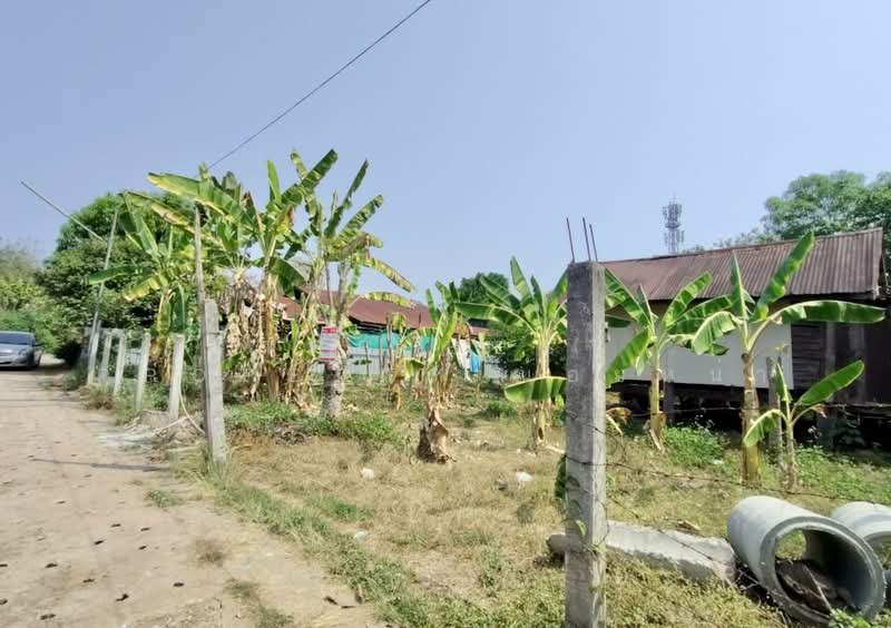 ที่ดินท่าอิฐ อุตรดิตถ์, อุตรดิตถ์, ท่าอิฐ, เมืองอุตรดิตถ์, อุตรดิตถ์, 784 ตร.ม., ที่ดิน ขาย, โดย The Best Property น้อยหน่า, 500195793 - DDproperty.com